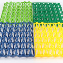 Molde de bandeja de huevos de inyección Producto doméstico de plástico para el hogar